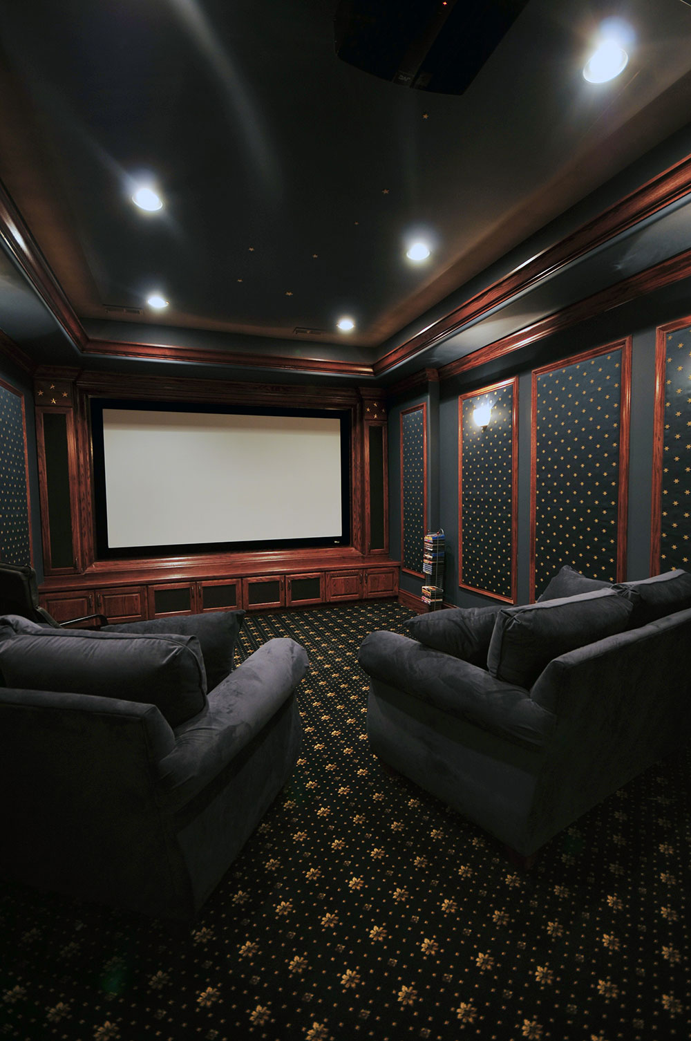 Professional home theater rendering and design