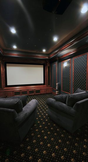 Professional home theater rendering and design